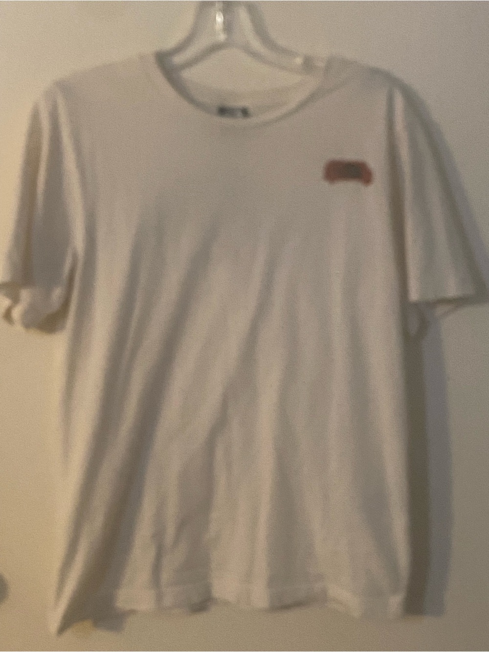 Women s Urban Outfitters x North Face White “Never Stop Exploring” Van logo SM